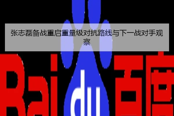 张志磊备战重启重量级对抗路线与下一战对手观察